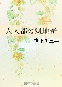 人人都爱魁地奇封面
