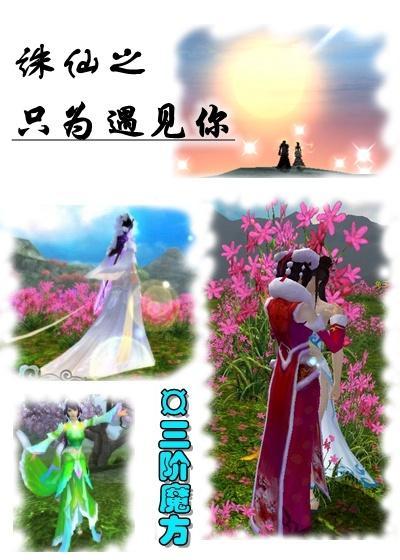 诛仙之只为遇见你封面
