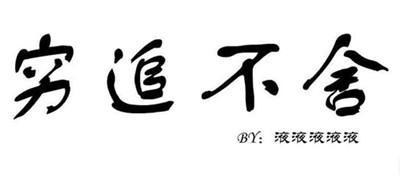 穷追不舍封面