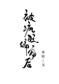 被疯狂偏宠后封面
