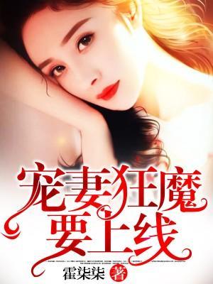 宠妻狂魔要上线封面