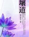 坏道封面