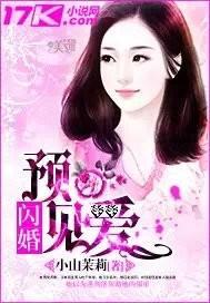 闪婚预见爱封面