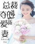 总裁的盛爱新妻封面