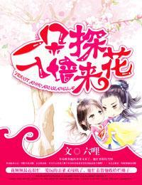 一朵探花入墻来封面