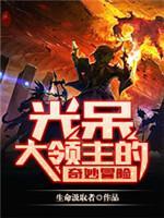 光呆大领主的奇妙冒险封面