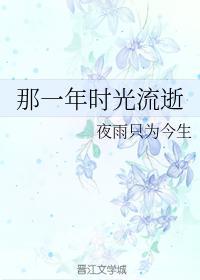 那一年时光流逝封面