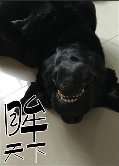 眸天下封面