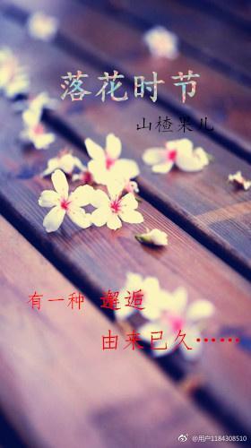 落花时节封面