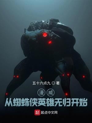 漫威：从蜘蛛侠英雄无归开始封面