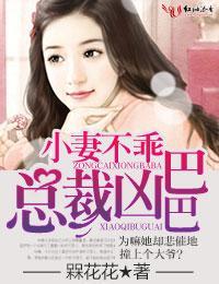 小妻不乖，总裁凶巴巴封面