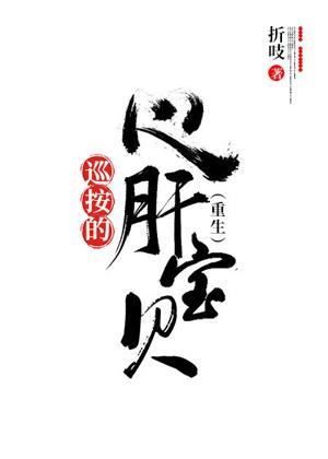 巡按的心肝宝贝（重生）封面