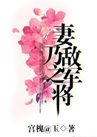 妻乃敌军之将封面