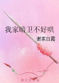 我家暗卫不好哄封面