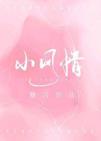 小风情封面