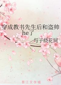 穿成教书先生后和盗帅he了封面