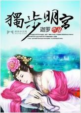 独步明宫封面