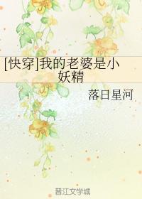 我的老婆是小妖精封面