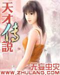 天才传说封面