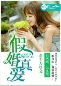 假婚真爱封面