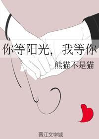 你等阳光，我等你封面
