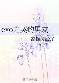 exo之契约男友封面