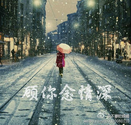 顾你念情深封面