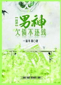男神欠债不还钱〔网游〕封面
