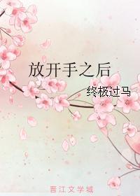 放开手之后封面