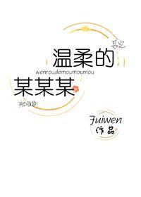 温柔的某某某封面