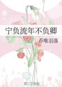 宁负流年不负卿封面
