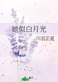 她似白月光封面