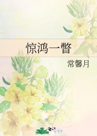 惊鸿一瞥封面