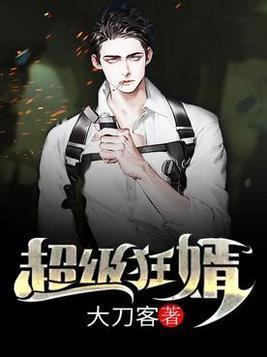 超级狂婿封面