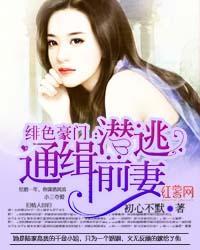 绯色豪门：通缉潜逃前妻封面