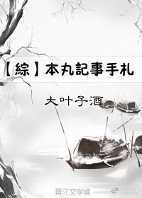 本丸记事手札[综]封面