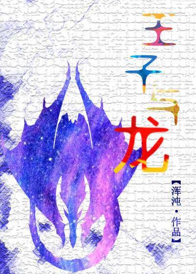 王子与龙封面