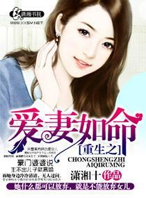 重生之爱妻如命封面