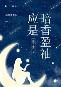 应是暗香盈袖封面
