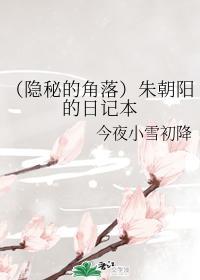 （隐秘的角落）朱朝阳的日记本封面