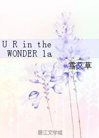 U R in the WONDER lab封面