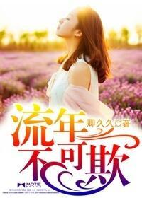 流年不可欺封面