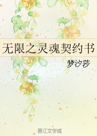 无限之灵魂契约书封面