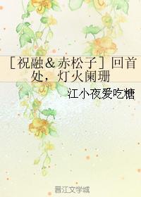 [祝融＆赤松子]回首处，灯火阑珊封面