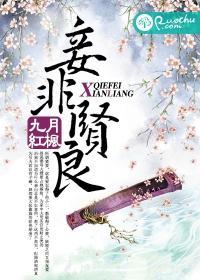 妾非贤良封面