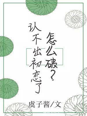 第二次初恋封面