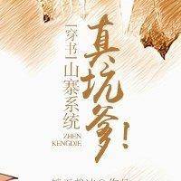 山寨系统真坑爹！（穿书）封面