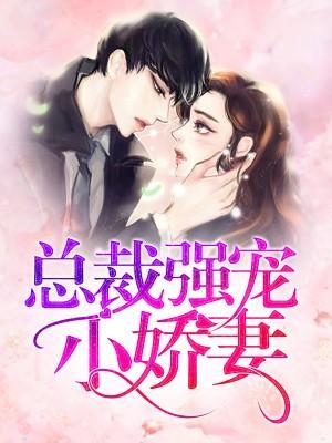 总裁强宠小娇妻封面