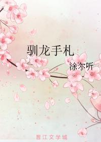驯龙手札封面
