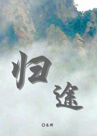 归途封面